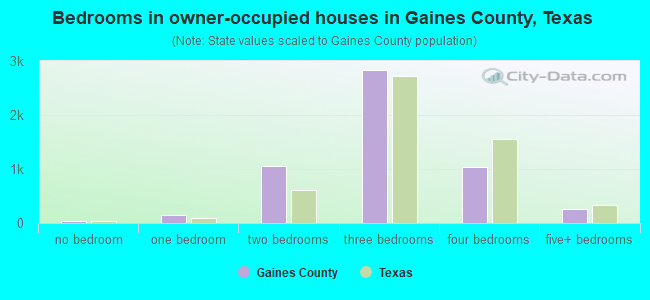 Bedrooms in owner-occupied houses in Gaines County, Texas