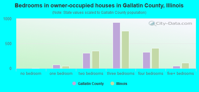Bedrooms in owner-occupied houses in Gallatin County, Illinois