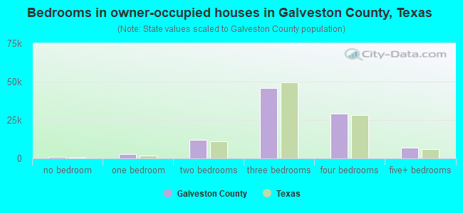 Bedrooms in owner-occupied houses in Galveston County, Texas