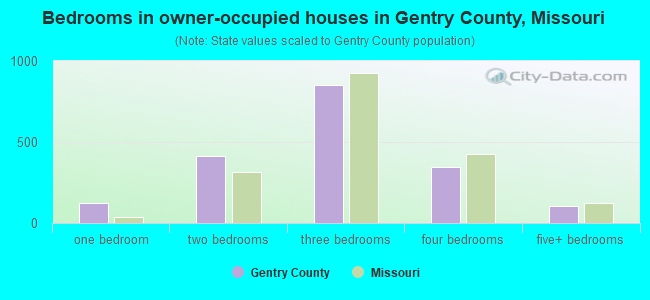 Bedrooms in owner-occupied houses in Gentry County, Missouri