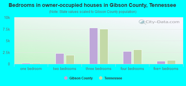 Bedrooms in owner-occupied houses in Gibson County, Tennessee