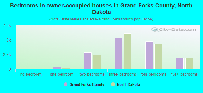 Bedrooms in owner-occupied houses in Grand Forks County, North Dakota