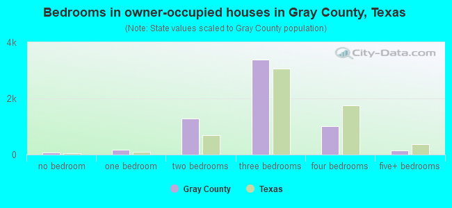 Bedrooms in owner-occupied houses in Gray County, Texas
