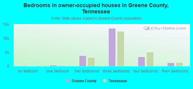 Bedrooms in owner-occupied houses in Greene County, Tennessee