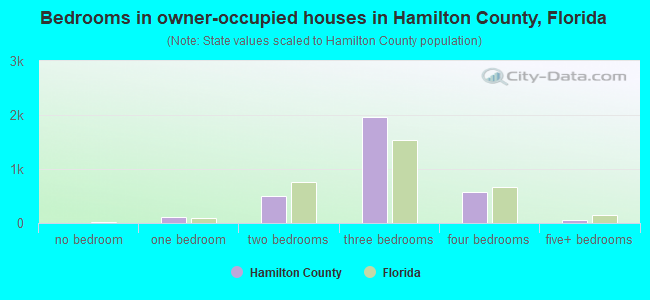 Bedrooms in owner-occupied houses in Hamilton County, Florida