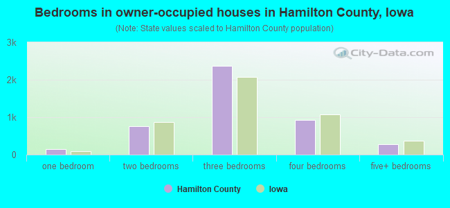 Bedrooms in owner-occupied houses in Hamilton County, Iowa