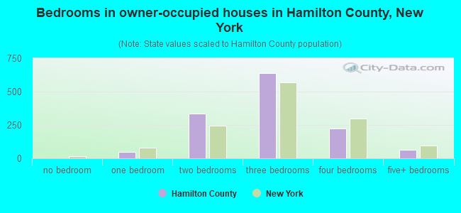 Bedrooms in owner-occupied houses in Hamilton County, New York