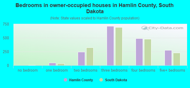 Bedrooms in owner-occupied houses in Hamlin County, South Dakota