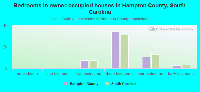 Bedrooms in owner-occupied houses in Hampton County, South Carolina