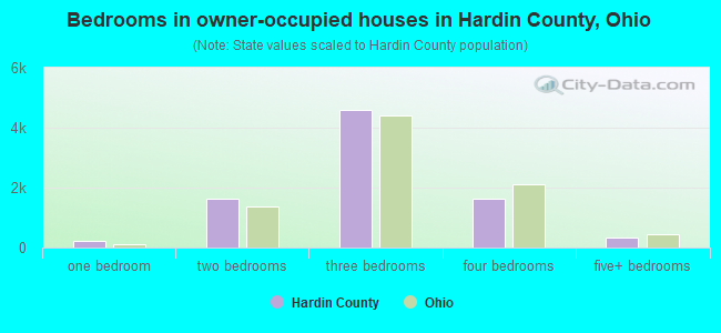 Bedrooms in owner-occupied houses in Hardin County, Ohio