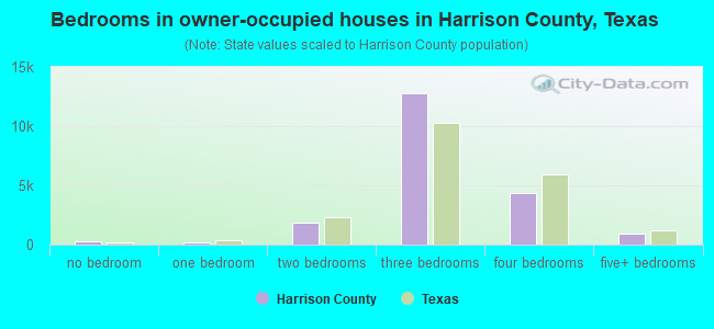 Bedrooms in owner-occupied houses in Harrison County, Texas
