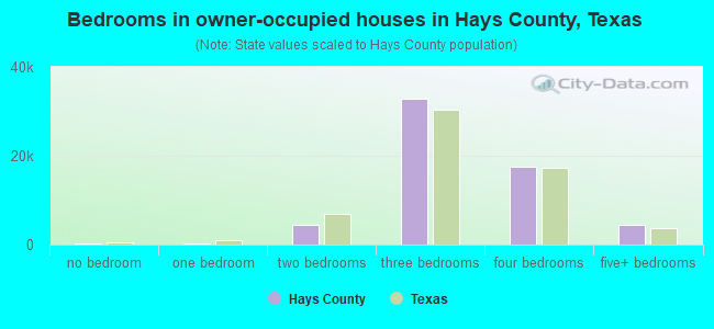 Bedrooms in owner-occupied houses in Hays County, Texas
