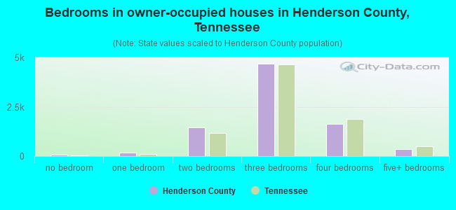 Bedrooms in owner-occupied houses in Henderson County, Tennessee