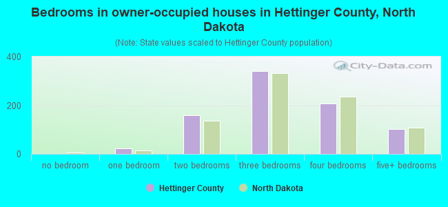 Bedrooms in owner-occupied houses in Hettinger County, North Dakota