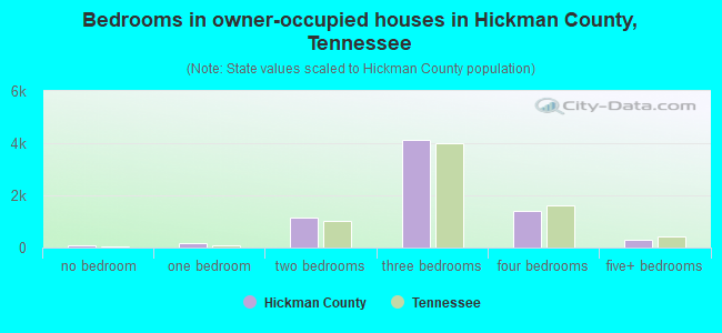 Bedrooms in owner-occupied houses in Hickman County, Tennessee