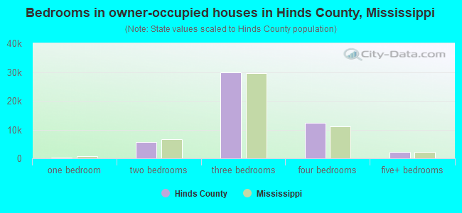 Bedrooms in owner-occupied houses in Hinds County, Mississippi