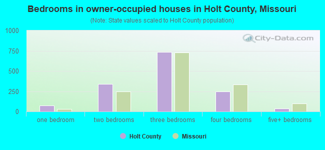 Bedrooms in owner-occupied houses in Holt County, Missouri