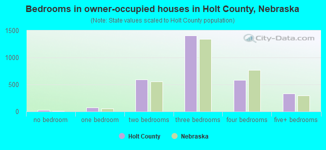 Bedrooms in owner-occupied houses in Holt County, Nebraska