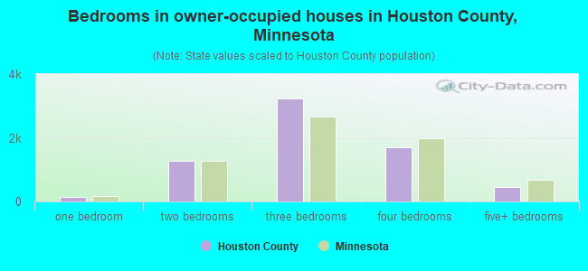 Bedrooms in owner-occupied houses in Houston County, Minnesota