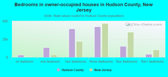 Bedrooms in owner-occupied houses in Hudson County, New Jersey