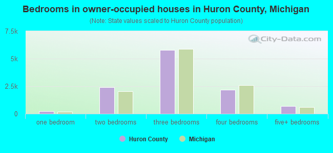 Bedrooms in owner-occupied houses in Huron County, Michigan