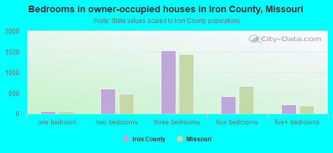 Bedrooms in owner-occupied houses in Iron County, Missouri