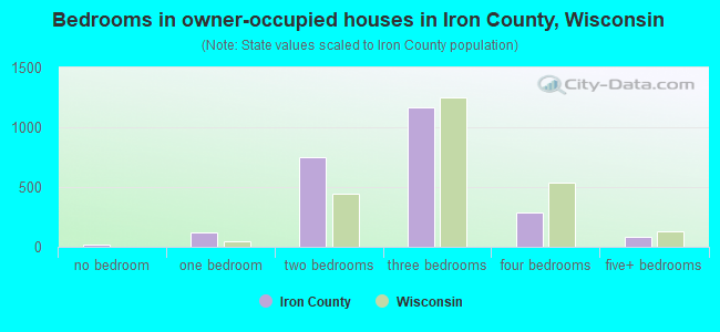 Bedrooms in owner-occupied houses in Iron County, Wisconsin