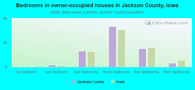 Bedrooms in owner-occupied houses in Jackson County, Iowa