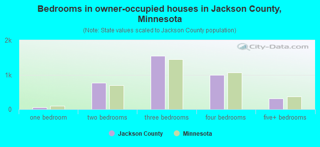 Bedrooms in owner-occupied houses in Jackson County, Minnesota