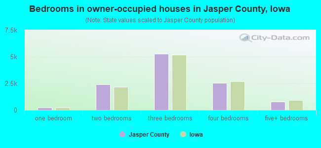 Bedrooms in owner-occupied houses in Jasper County, Iowa