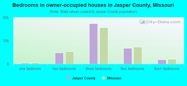 Bedrooms in owner-occupied houses in Jasper County, Missouri