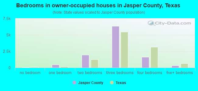 Bedrooms in owner-occupied houses in Jasper County, Texas