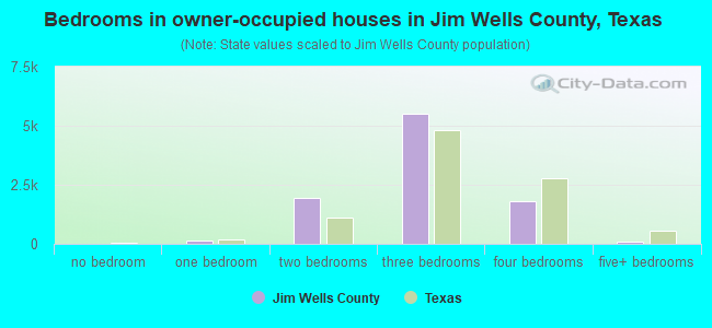 Bedrooms in owner-occupied houses in Jim Wells County, Texas
