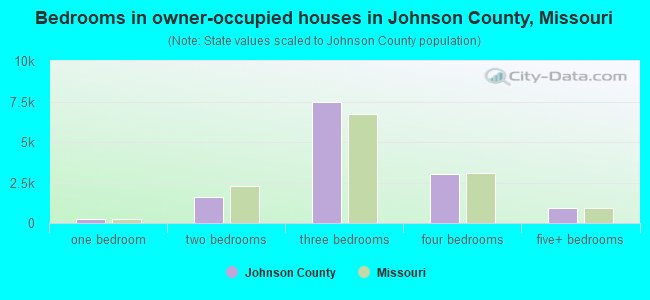 Bedrooms in owner-occupied houses in Johnson County, Missouri