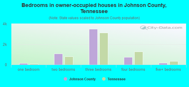 Bedrooms in owner-occupied houses in Johnson County, Tennessee