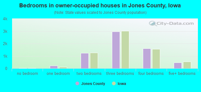 Bedrooms in owner-occupied houses in Jones County, Iowa