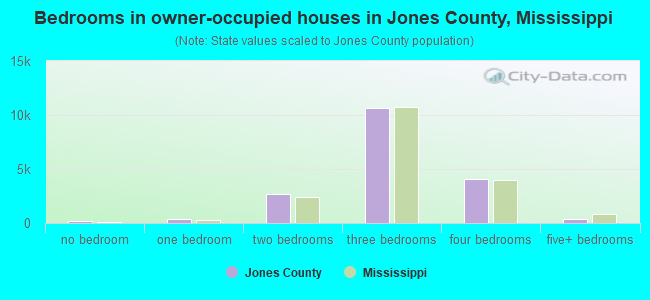 Bedrooms in owner-occupied houses in Jones County, Mississippi