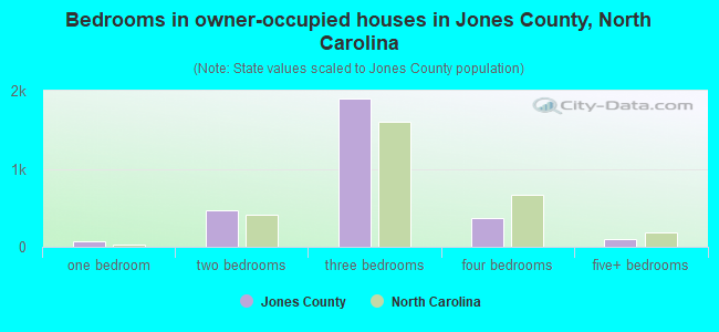 Bedrooms in owner-occupied houses in Jones County, North Carolina