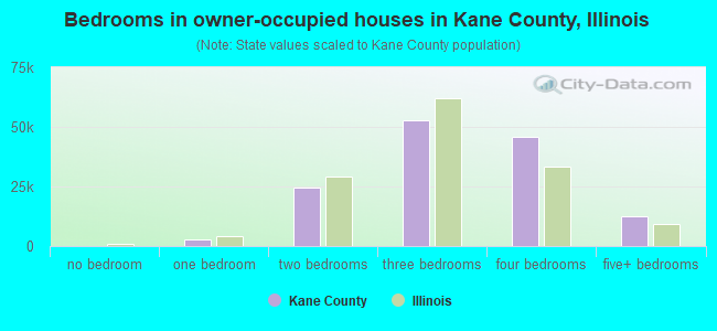 Bedrooms in owner-occupied houses in Kane County, Illinois