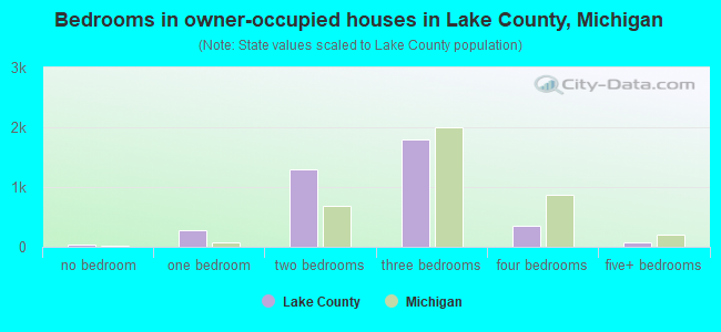 Bedrooms in owner-occupied houses in Lake County, Michigan
