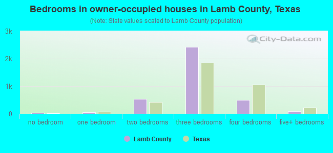 Bedrooms in owner-occupied houses in Lamb County, Texas
