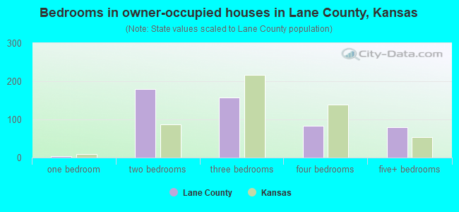 Bedrooms in owner-occupied houses in Lane County, Kansas