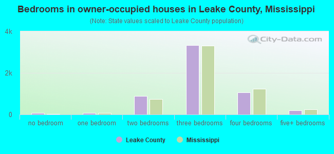 Bedrooms in owner-occupied houses in Leake County, Mississippi