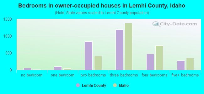 Bedrooms in owner-occupied houses in Lemhi County, Idaho