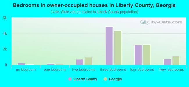 Bedrooms in owner-occupied houses in Liberty County, Georgia