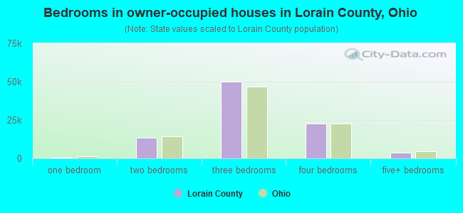 Bedrooms in owner-occupied houses in Lorain County, Ohio