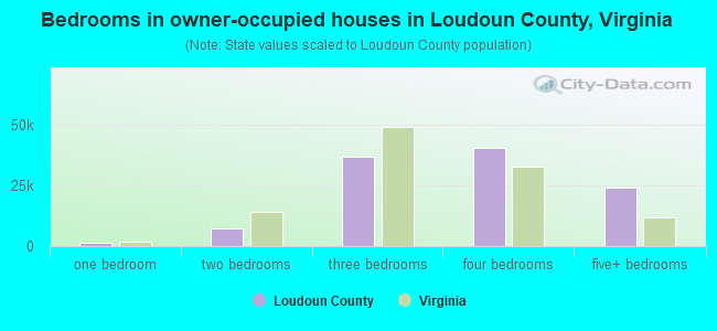 Bedrooms in owner-occupied houses in Loudoun County, Virginia
