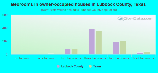 Bedrooms in owner-occupied houses in Lubbock County, Texas