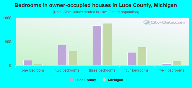 Bedrooms in owner-occupied houses in Luce County, Michigan
