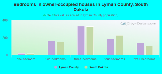 Bedrooms in owner-occupied houses in Lyman County, South Dakota